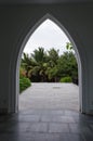 Palm grove view in black arch silhouette