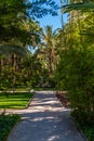 Palm groves at Huerto del Cura garden in Elche Royalty Free Stock Photo