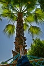 Palm hammock with feets in the sun HDR