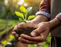 Gardener sowing seeds, gardener hands working soil, plants, IA Royalty Free Stock Photo