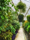 Palm House Botanic Gardens Belfast Northern Ireland Royalty Free Stock Photo