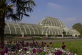 Palm house kew gardens London uk