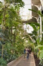 The Palm House, Kew Gardens, London UK. Royalty Free Stock Photo