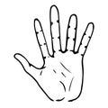 Palm icon. Vector human hand palm. Hand drawn arm Royalty Free Stock Photo