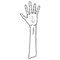 Palm icon. Vector illustration human hand palm. Royalty Free Stock Photo