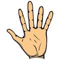 Palm icon. Vector illustration human hand palm. Royalty Free Stock Photo
