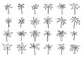 Palm icons set outline vector. Hawaii tree