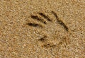 Palm Imprint On the Seashore on a Clear Day Royalty Free Stock Photo