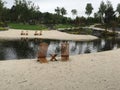 Palm island in the Stavanger region in Norway