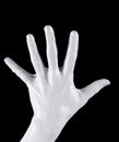 Palm isolated caucasian hand gesture, showing human