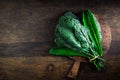 Palm kale, black cabbage - Cavolo nero black curly kale. Nero di Toscana Brassica oleracea Royalty Free Stock Photo