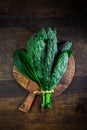 Palm kale, black cabbage - Cavolo nero black curly kale. Nero di Toscana Brassica oleracea Royalty Free Stock Photo