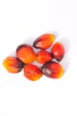 Palm Kernel Seeds