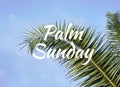 Palm leaf against blue sky with text Palm Sunday