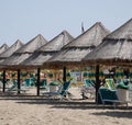 Palm Leaf Beach Umbrellas