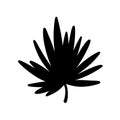 Palm leaf. Black silhouette. Tropical forest element. Vector illustration Royalty Free Stock Photo