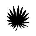Palm leaf. Black silhouette. Tropical forest element. Vector illustration Royalty Free Stock Photo