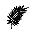 Palm leaf. Black silhouette. Tropical forest element. Vector Royalty Free Stock Photo