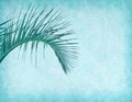 palm leaf on blue old grunge antique paper Royalty Free Stock Photo