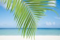 Palm leaf, blue sea and tropical white sand beach ander the sun Royalty Free Stock Photo