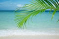 Palm leaf, blue sea and tropical white sand beach Royalty Free Stock Photo