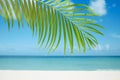 Palm leaf, blue sea and tropical white sand beach Royalty Free Stock Photo