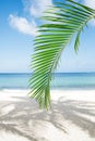 Palm leaf, blue sea and tropical white sand beach under the sun Royalty Free Stock Photo