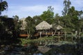 Palm leaf covered stilt houses on a lake. A wooden bridge leads over a lake to the building