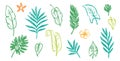 Palm leaf hand drawn crayon brush illustration. Foliage green tropical jungle leaves monstera, banana tree leaf texture Royalty Free Stock Photo