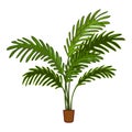 Palm leaf houseplant icon cartoon vector. Care interior office Royalty Free Stock Photo