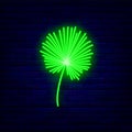 Palm leaf neon icon. Shiny summer concept. Botanical design. Night bright signboard. Vector illustration