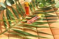 Palm leaf with perfume bottles on wooden background