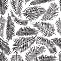 Palm leaf seamless pattern, black and white tropic tree background. Summer illustration