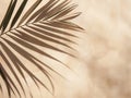 Palm Leaf Shadow on Beige Wall Royalty Free Stock Photo