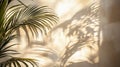 Palm Leaf Shadow Cast on a Beige Wall Royalty Free Stock Photo