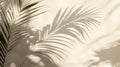 Palm Leaf Shadow Cast on a Light Beige Wall Royalty Free Stock Photo