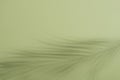 Palm leaf shadow on green background. Easter and Palm Sunday concept Royalty Free Stock Photo