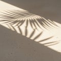 Palm leaf shadow on wall Royalty Free Stock Photo