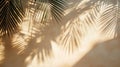 Palm Leaf Shadows Cast on a Beige Wall Royalty Free Stock Photo