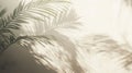 Palm Leaf Shadows Cast on a White Wall Royalty Free Stock Photo