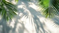 Palm Leaf Shadows Cast on a White Wall Royalty Free Stock Photo