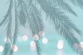 Palm leaf silhouette on festive blurry lights on soft teal turquoise Royalty Free Stock Photo