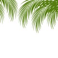 Palm leaf silhouettes background. Tropical leaves.