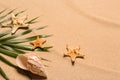 Palm leaf, starfishes and seashell on beach sand, space for text. Summer vacation Royalty Free Stock Photo