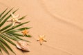 Palm leaf, starfishes, seashell and space for text on beach sand, flat lay. Summer vacation Royalty Free Stock Photo