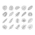 palm leaf summer plant green icons set vector Royalty Free Stock Photo