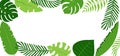 Palm leaf vector frame, green plant background, summer tree border, exotic branch, tropical jungle, hawaii banner. Nature Royalty Free Stock Photo