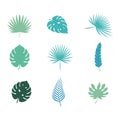 Palm Leaf vector illustration Royalty Free Stock Photo