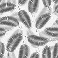 Palm Leaf Vector Seamless Pattern Background Royalty Free Stock Photo