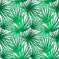 Palm Leaf Vector Seamless Pattern Background Illustration Royalty Free Stock Photo